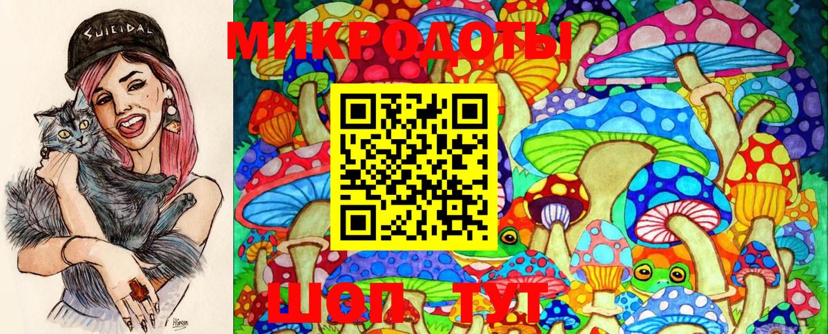 Псилоцибиновые грибы мицелий  Вход с VPN  Котлас 