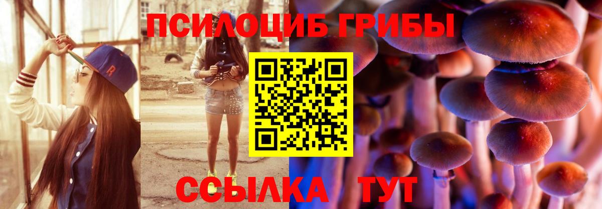 Галлюциногенные грибы GOLDEN TEACHER Котлас